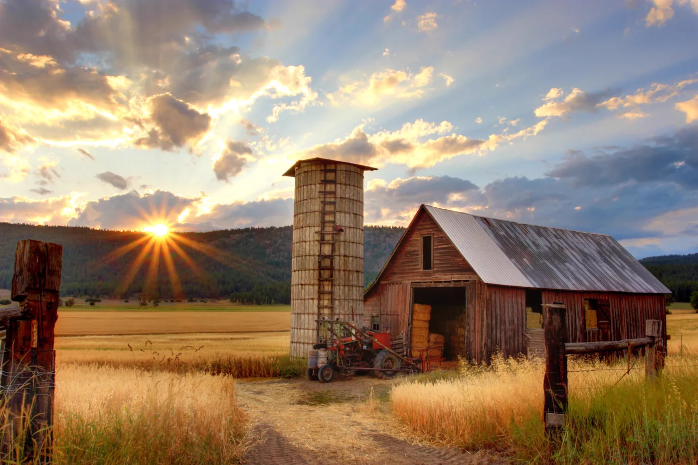 The barn at golden hour